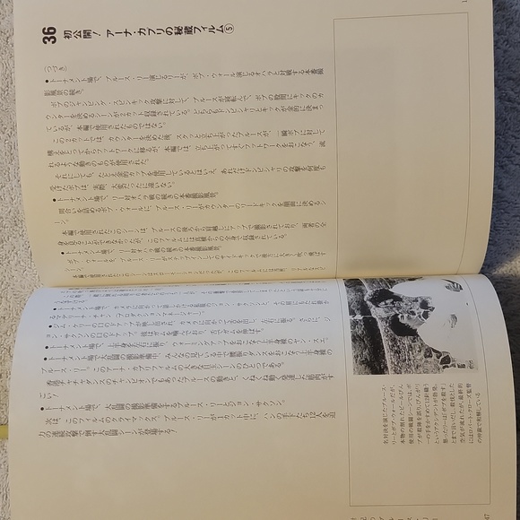 The Legend of Bruce Lee - Picture 10 of 16